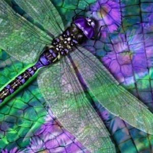 Meet your Posher, Rhonda